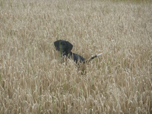 Wandelen in Grandrieux Picardie